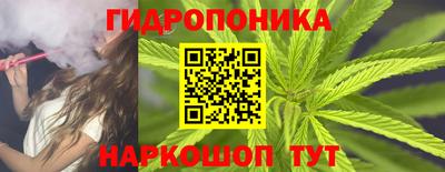 Альфа ПВП Рузаевка