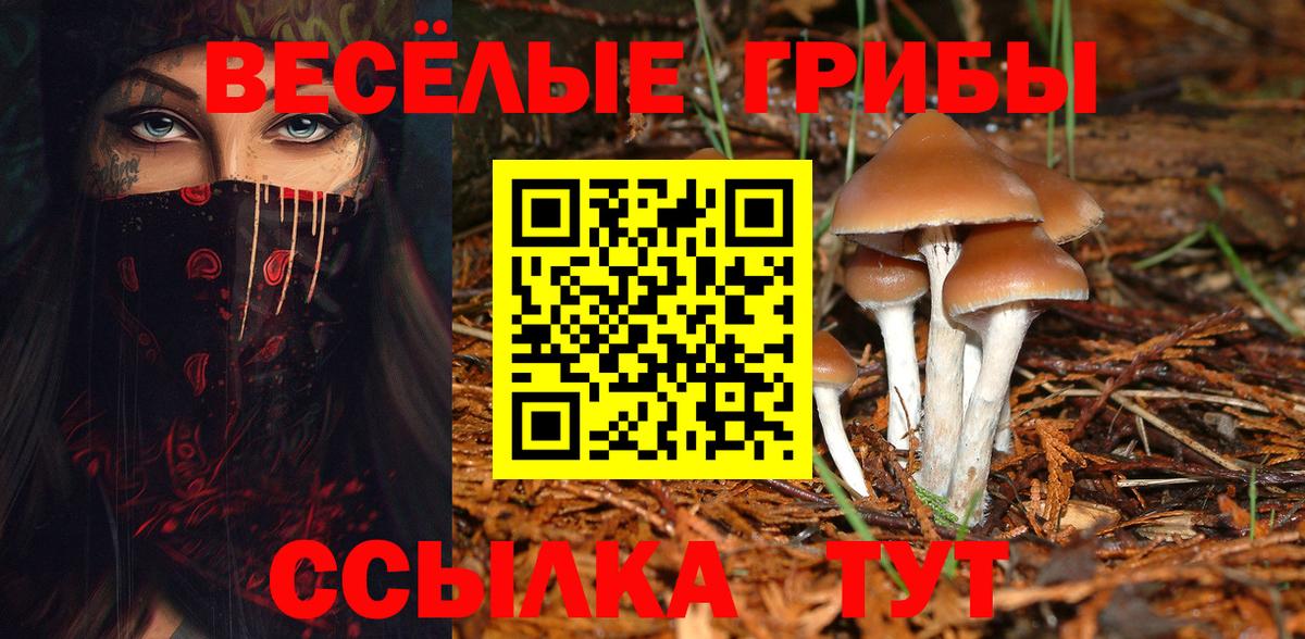 Галлюциногенные грибы мухоморы  Вход с VPN  Саянск 